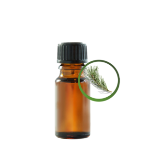 pine_needle_oil