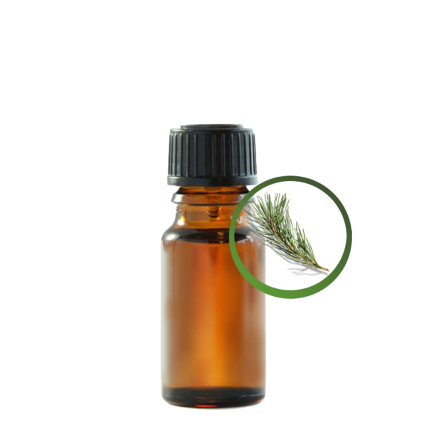 pine_needle_oil